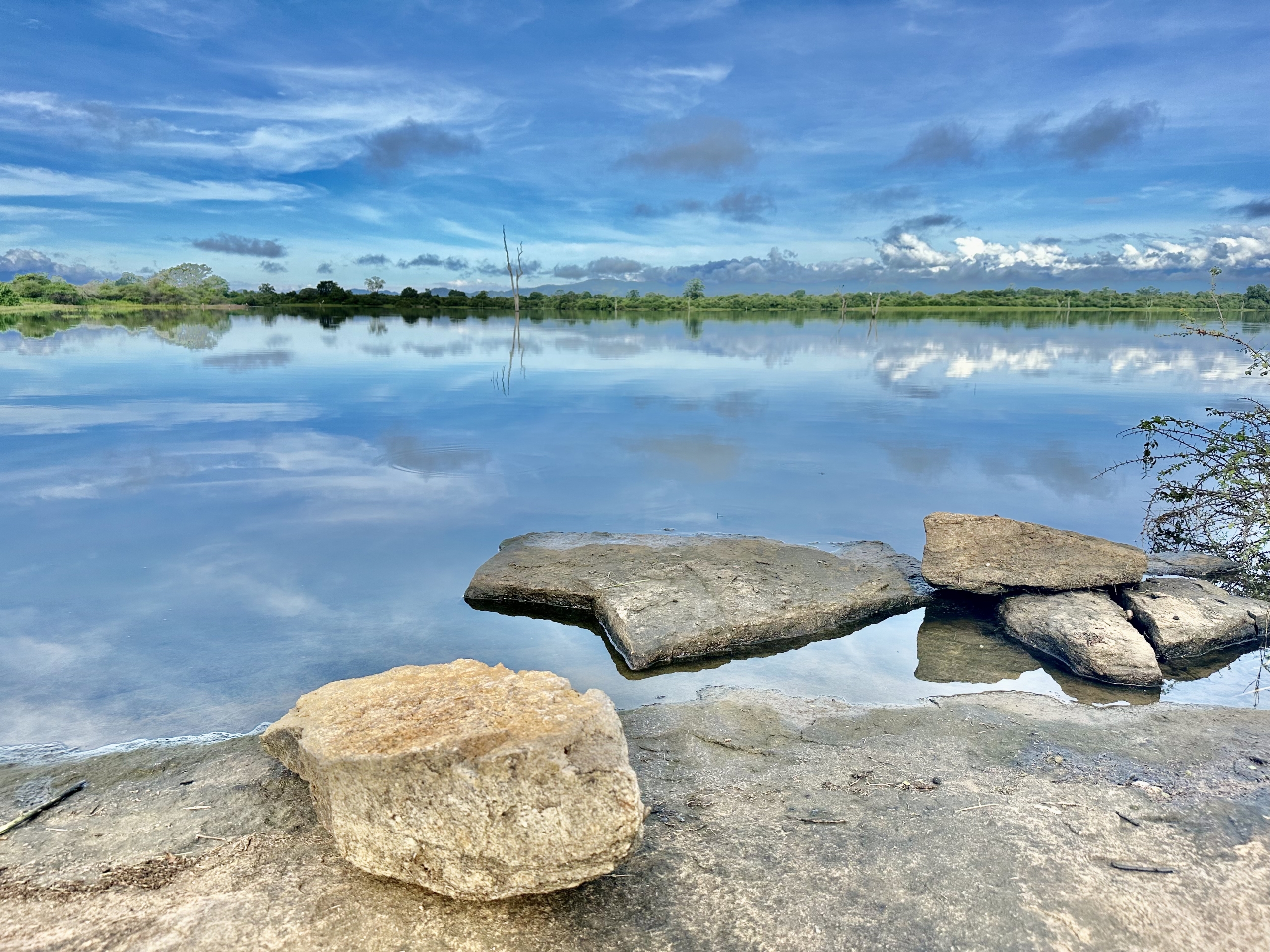 Best Time to Visit Sri Lanka