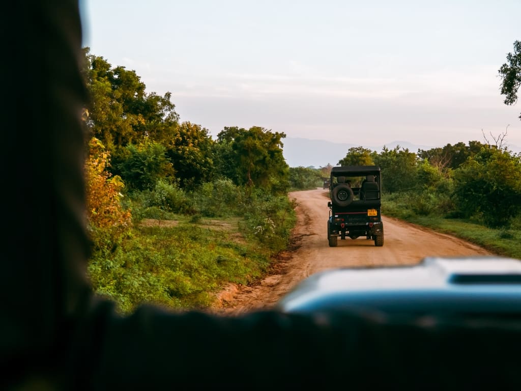 Udawalawe elephant safari tour