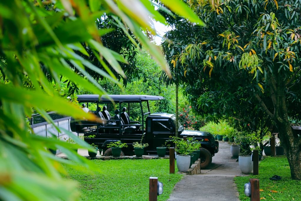 Private Jeep in Udawalawe